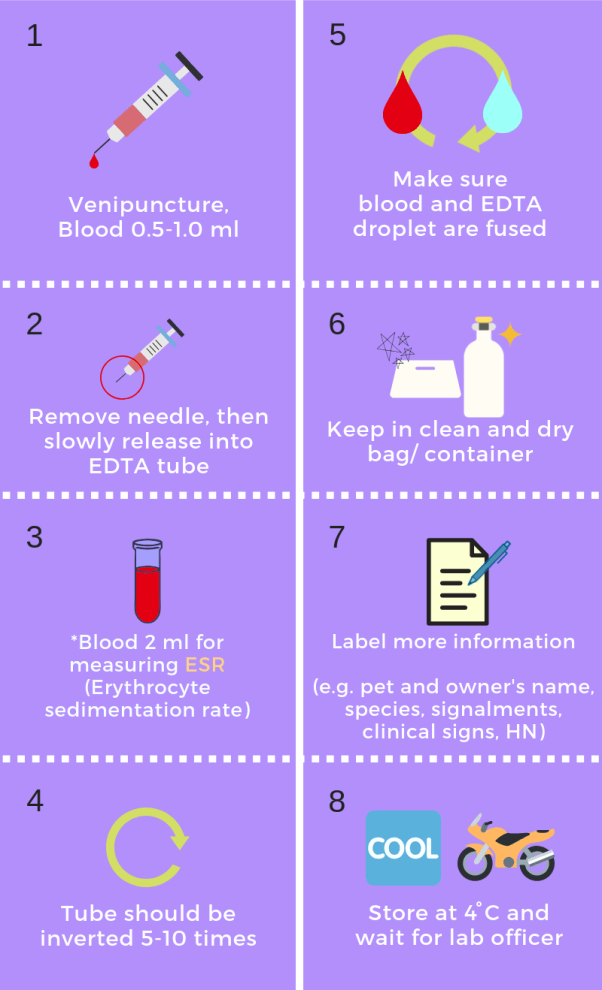 Hematology
