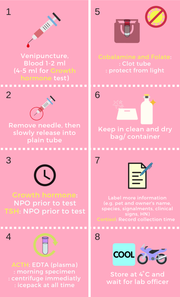 Hormones and Immunology Test