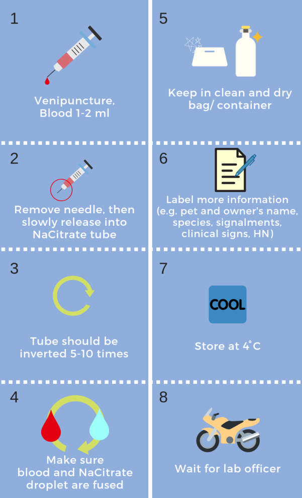 Coagulation Test