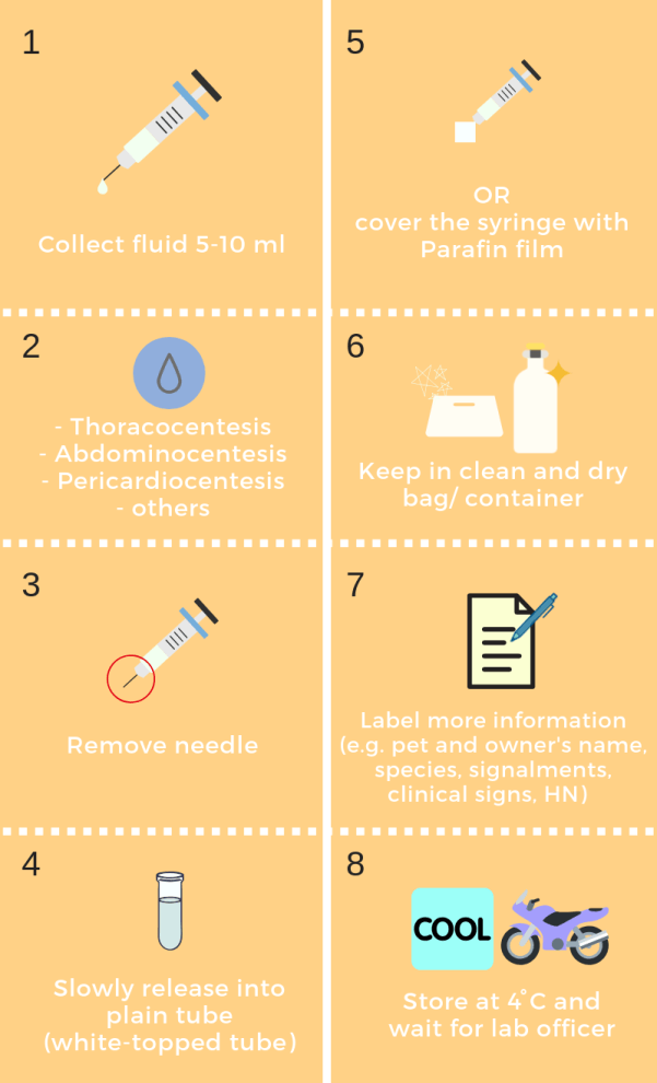 Fluid Analysis