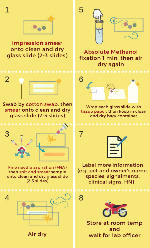 Cytology